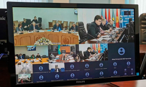 Экспертная группа по разработке плана  реализации Стратегии экономического развития СНГ на период до 2030 года